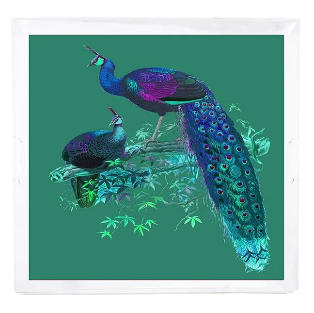 Family Pheasants Peacock 18X18 Acrylic Tray